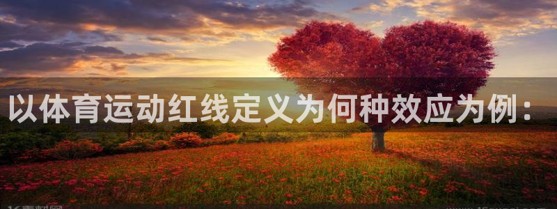 77体育官网