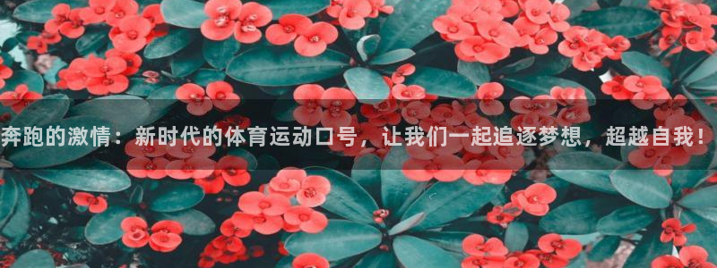 77体育app下载官网