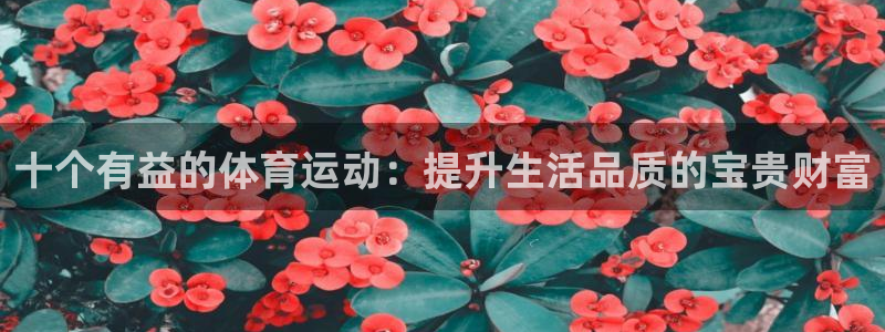 77体育官网