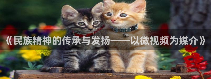 77体育官网