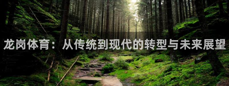 77体育app下载官网