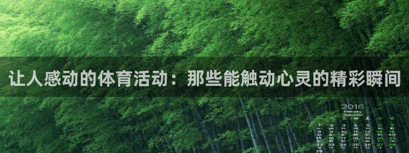 77体育官网