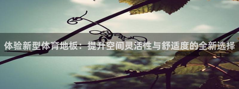 77体育app下载官网