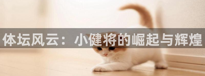 77体育app下载官网