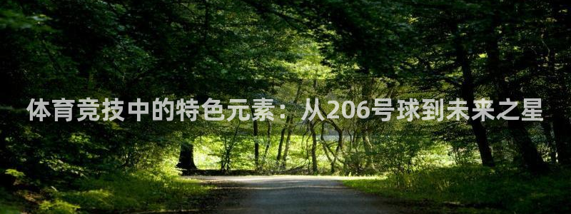 77体育官网